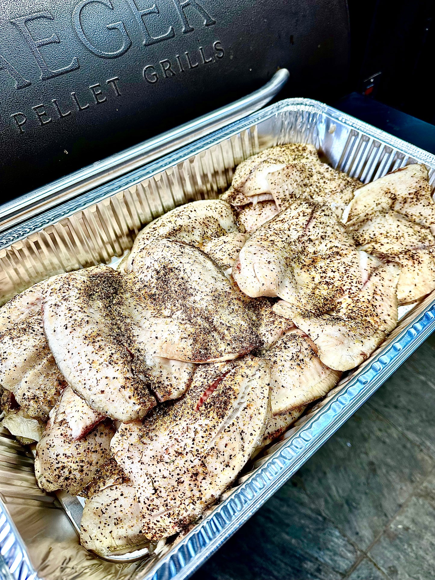 Tilapia