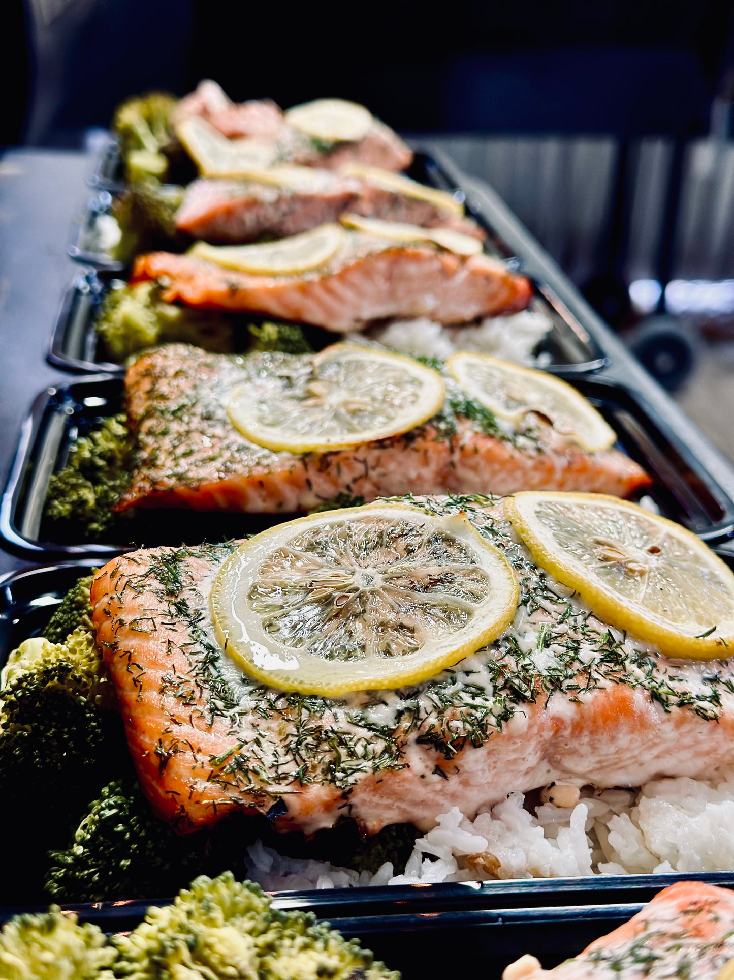 Salmon