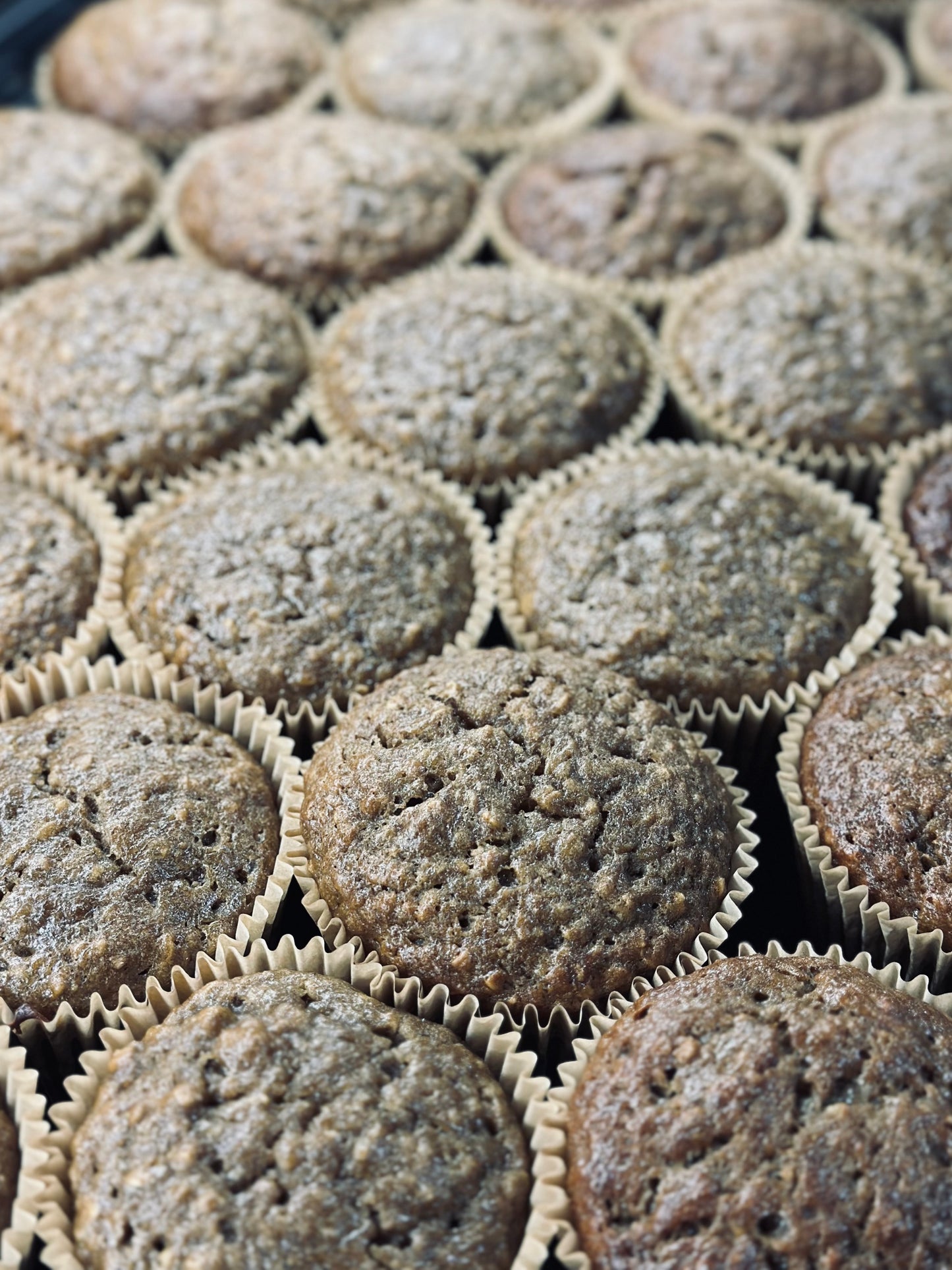 Smoked Banana Oat Muffins